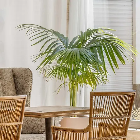 호텔 Metropol 료렛 드 마르